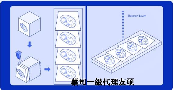 九江蔡司九江扫描电镜