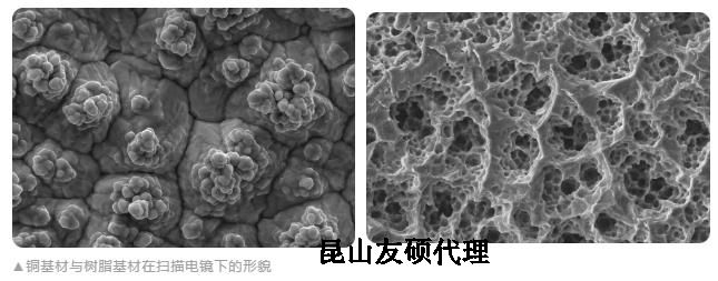 九江蔡司九江扫描电镜