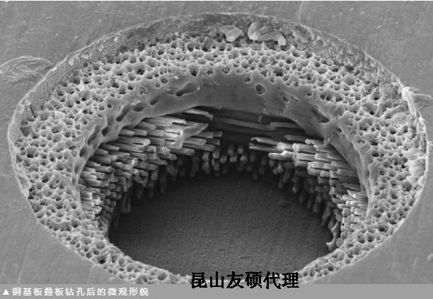 九江蔡司九江扫描电镜